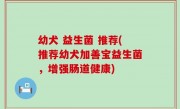 幼犬 益生菌 推荐(推荐幼犬加善宝益生菌，增强肠道健康)