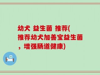 幼犬 益生菌 推荐(推荐幼犬加善宝益生菌，增强肠道健康)