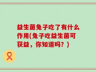 益生菌兔子吃了有什么作用(兔子吃益生菌可获益，你知道吗？)