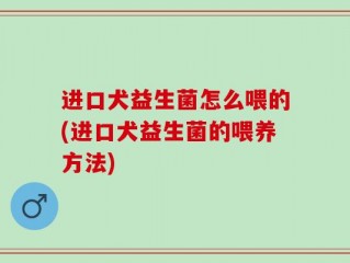 进口犬益生菌怎么喂的(进口犬益生菌的喂养方法)