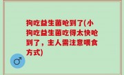 狗吃益生菌呛到了(小狗吃益生菌吃得太快呛到了，主人需注意喂食方式)