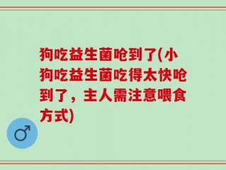 狗吃益生菌呛到了(小狗吃益生菌吃得太快呛到了，主人需注意喂食方式)