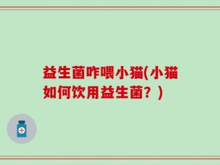 益生菌咋喂小猫(小猫如何饮用益生菌？)