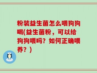 粉装益生菌怎么喂狗狗喝(益生菌粉，可以给狗狗喂吗？如何正确喂养？)