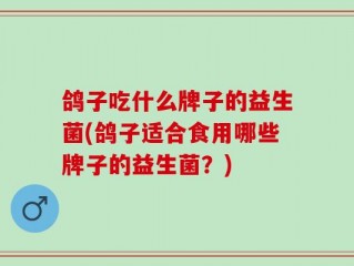 鸽子吃什么牌子的益生菌(鸽子适合食用哪些牌子的益生菌？)