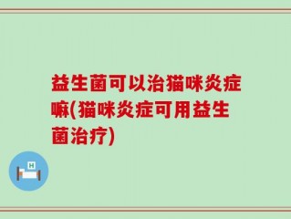 益生菌可以治猫咪炎症嘛(猫咪炎症可用益生菌治疗)