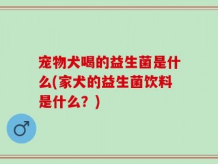 宠物犬喝的益生菌是什么(家犬的益生菌饮料是什么？)