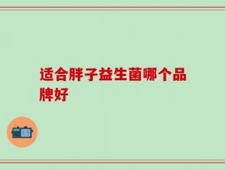 适合胖子益生菌哪个品牌好