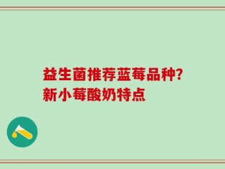 益生菌推荐蓝莓品种？新小莓酸奶特点