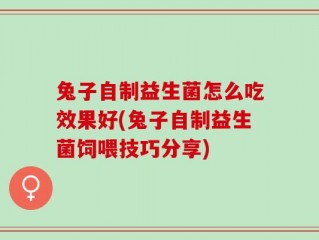 兔子自制益生菌怎么吃效果好(兔子自制益生菌饲喂技巧分享)