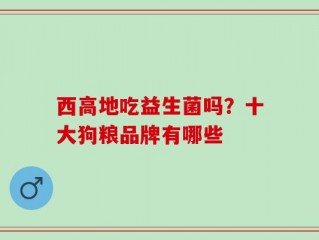 西高地吃益生菌吗？十大狗粮品牌有哪些