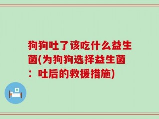 狗狗吐了该吃什么益生菌(为狗狗选择益生菌：吐后的救援措施)