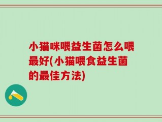 小猫咪喂益生菌怎么喂最好(小猫喂食益生菌的最佳方法)