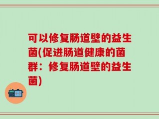 可以修复肠道壁的益生菌(促进肠道健康的菌群：修复肠道壁的益生菌)