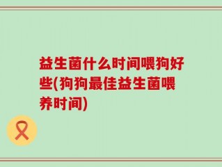 益生菌什么时间喂狗好些(狗狗最佳益生菌喂养时间)