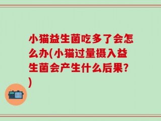 小猫益生菌吃多了会怎么办(小猫过量摄入益生菌会产生什么后果？)