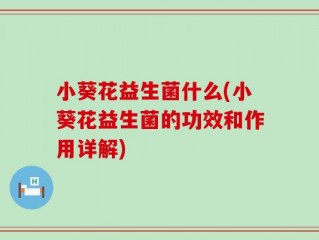 小葵花益生菌什么(小葵花益生菌的功效和作用详解)