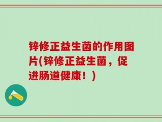 锌修正益生菌的作用图片(锌修正益生菌，促进肠道健康！)