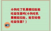 小狗吃了乳果糖拉肚能吃益生菌吗(小狗吃乳果糖后拉肚，能否给他吃益生菌？)