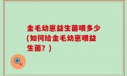 金毛幼崽益生菌喂多少(如何给金毛幼崽喂益生菌？)