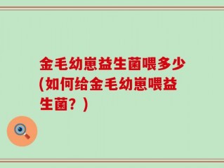 金毛幼崽益生菌喂多少(如何给金毛幼崽喂益生菌？)