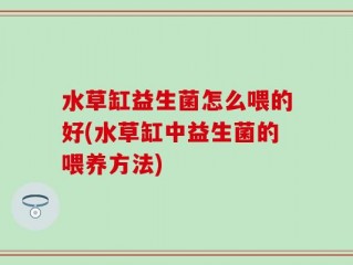 水草缸益生菌怎么喂的好(水草缸中益生菌的喂养方法)