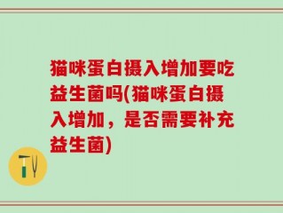 猫咪蛋白摄入增加要吃益生菌吗(猫咪蛋白摄入增加，是否需要补充益生菌)