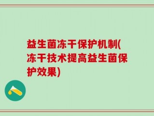 益生菌冻干保护机制(冻干技术提高益生菌保护效果)