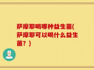 萨摩耶喝哪种益生菌(萨摩耶可以喝什么益生菌？)