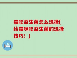 猫吃益生菌怎么选择(给猫咪吃益生菌的选择技巧！)