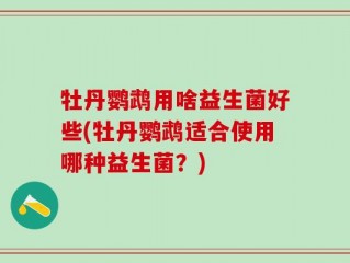 牡丹鹦鹉用啥益生菌好些(牡丹鹦鹉适合使用哪种益生菌？)
