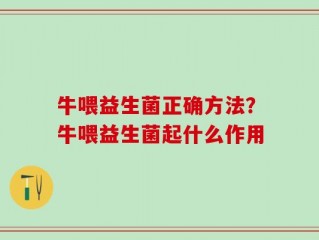 牛喂益生菌正确方法？牛喂益生菌起什么作用