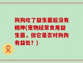 狗狗吃了益生菌后没有精神(宠物经常食用益生菌，但它是否对狗狗有益处？)
