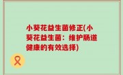 小葵花益生菌修正(小葵花益生菌：维护肠道健康的有效选择)