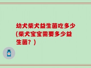 幼犬柴犬益生菌吃多少(柴犬宝宝需要多少益生菌？)