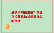 油状滴剂益生菌？泰迪狗拉黄色油状像鼻涕似的便便