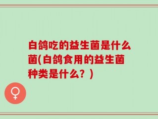 白鸽吃的益生菌是什么菌(白鸽食用的益生菌种类是什么？)
