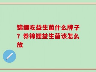 锦鲤吃益生菌什么牌子？养锦鲤益生菌该怎么放
