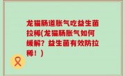 龙猫肠道胀气吃益生菌拉稀(龙猫肠胀气如何缓解？益生菌有效防拉稀！)