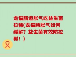 龙猫肠道胀气吃益生菌拉稀(龙猫肠胀气如何缓解？益生菌有效防拉稀！)
