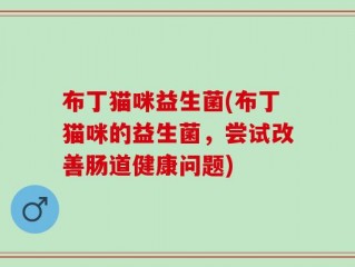 布丁猫咪益生菌(布丁猫咪的益生菌，尝试改善肠道健康问题)