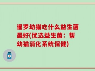 暹罗幼猫吃什么益生菌最好(优选益生菌：帮幼猫消化系统保健)