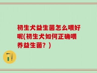 初生犬益生菌怎么喂好呢(初生犬如何正确喂养益生菌？)