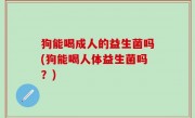 狗能喝成人的益生菌吗(狗能喝人体益生菌吗？)