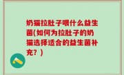奶猫拉肚子喂什么益生菌(如何为拉肚子的奶猫选择适合的益生菌补充？)