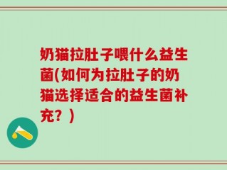 奶猫拉肚子喂什么益生菌(如何为拉肚子的奶猫选择适合的益生菌补充？)