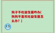 狗子不吃益生菌咋办(狗狗不喜欢吃益生菌怎么办？)