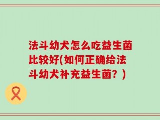 法斗幼犬怎么吃益生菌比较好(如何正确给法斗幼犬补充益生菌？)