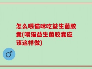 怎么喂猫咪吃益生菌胶囊(喂猫益生菌胶囊应该这样做)