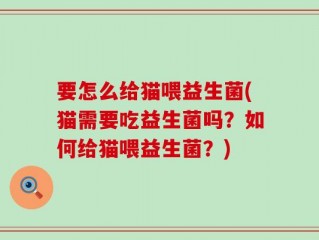 要怎么给猫喂益生菌(猫需要吃益生菌吗？如何给猫喂益生菌？)